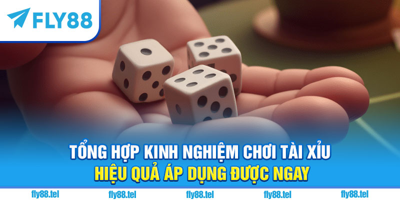 Kinh Nghiệm Chơi Tài Xỉu Hiệu Quả Vượt Trội 2025 4 Tổng hợp kinh nghiệm chơi tài xỉu hiệu quả