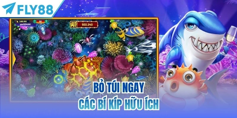 Trang Bị Mẹo Chơi Bắn Cá Đỉnh Cao Từ Chuyên Gia FLY88 3 Bỏ túi ngay các bí kíp hữu ích